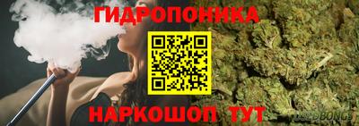 гашик Кизилюрт