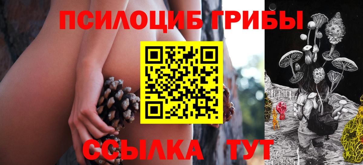 Галлюциногенные грибы ЛСД  Псилоцибиновые грибы мицелий  Вход с VPN  Ачхой-Мартан 